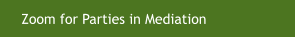 Zoom for Parties in Mediation